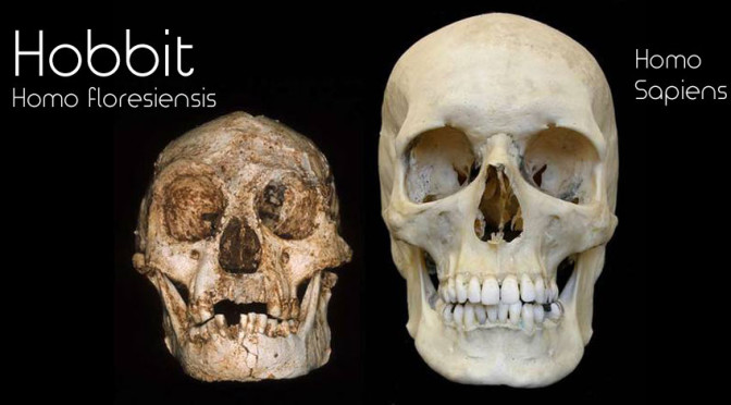 Homo-floresiensis-Hobbit