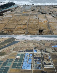 Fukushima-Prima-Dopo-3